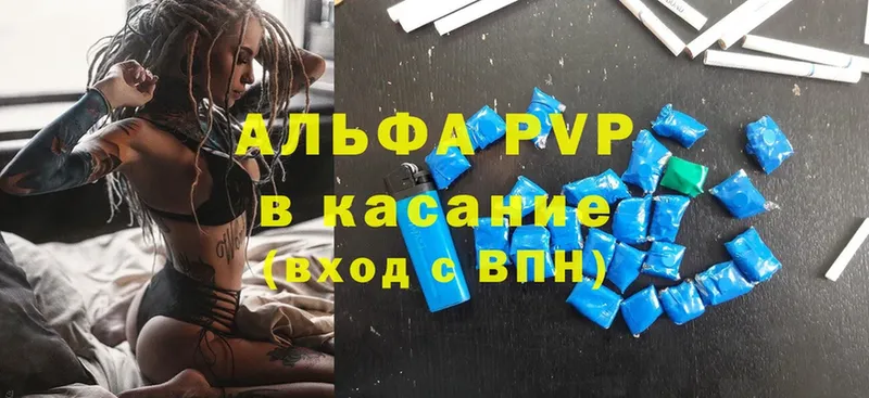 закладки  Великий Устюг  APVP крисы CK 